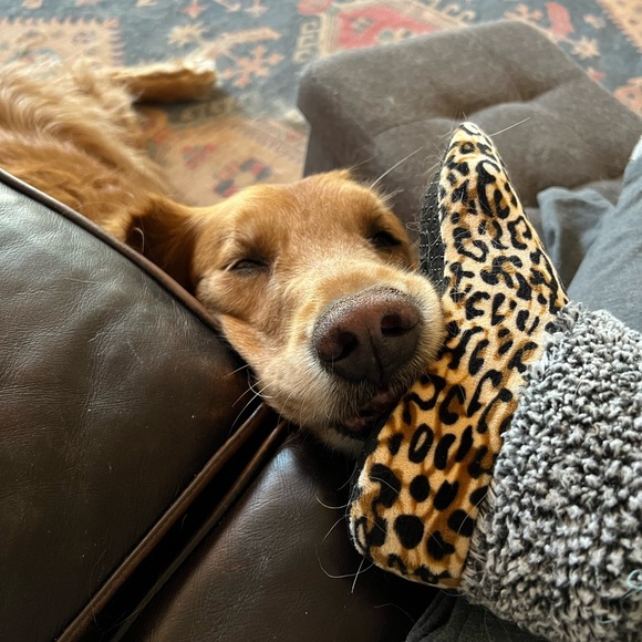 Live Share Show - Picture 3 of 3